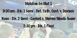 Varsity Boys Wrestling image