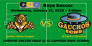 Varsity Boys Soccer image