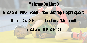 Varsity Boys Wrestling image
