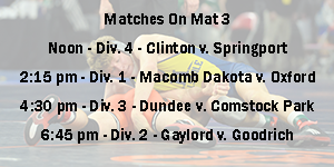 Varsity Boys Wrestling image