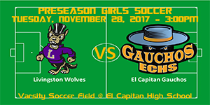 Varsity Girls Soccer image