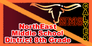 Northeast District 8th Grade Boys Championships image