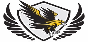Basketball video image