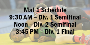 Varsity Boys Wrestling image