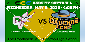 Softball video image