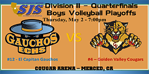 Varsity Boys Volleyball image