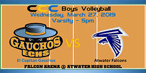 Volleyball video image