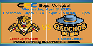 Volleyball video image