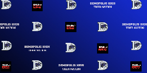 Football video image