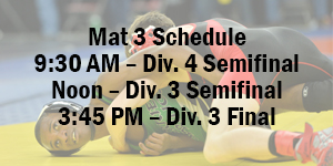 Varsity Boys Wrestling image